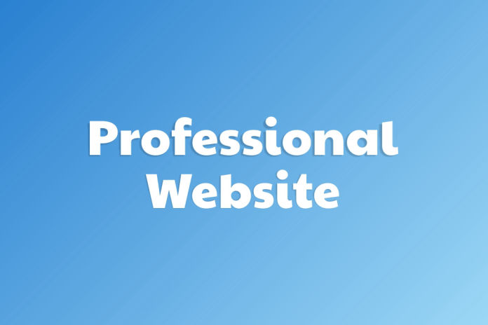 Professional website development